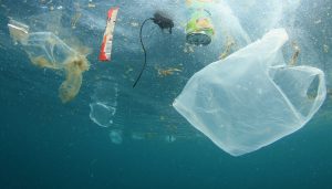 A tribute to World Oceans Day: The Plastic Problem A tribute to World Oceans Day: The Plastic Problem