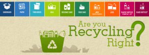 Lee County surpasses recycling rate, becomes one of three counties in Florida to meet goal of 75 percent item-thumbnail