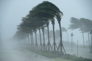 Lee County provides online hurricane preparation resources Lee County provides online hurricane preparation resources