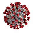 COVID-19 vaccination options item-thumbnail