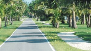 GICIA celebrates 50 year anniversary with restoration of the Walking Path item-thumbnail
