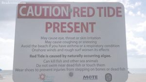 FWC reports return of red tide item-thumbnail