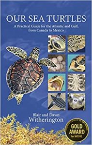 BIPS features the Witheringtons in ‘Our Sea Turtles’: Part IV of their lecture series BIPS features the Witheringtons in ‘Our Sea Turtles’: Part IV of their lecture series