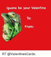 LETTER TO THE EDITOR: Do your part in the battle against the spiny-tail iguanas of the island LETTER TO THE EDITOR: Do your part in the battle against the spiny-tail iguanas of the island
