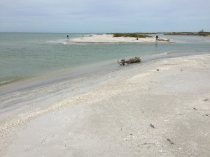 IMG_1371