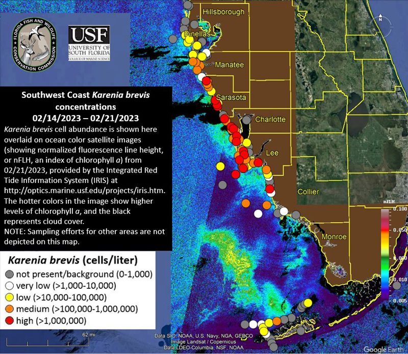 RED TIDE REPORT FOR WEEK OF 2/24/2023 Boca Beacon