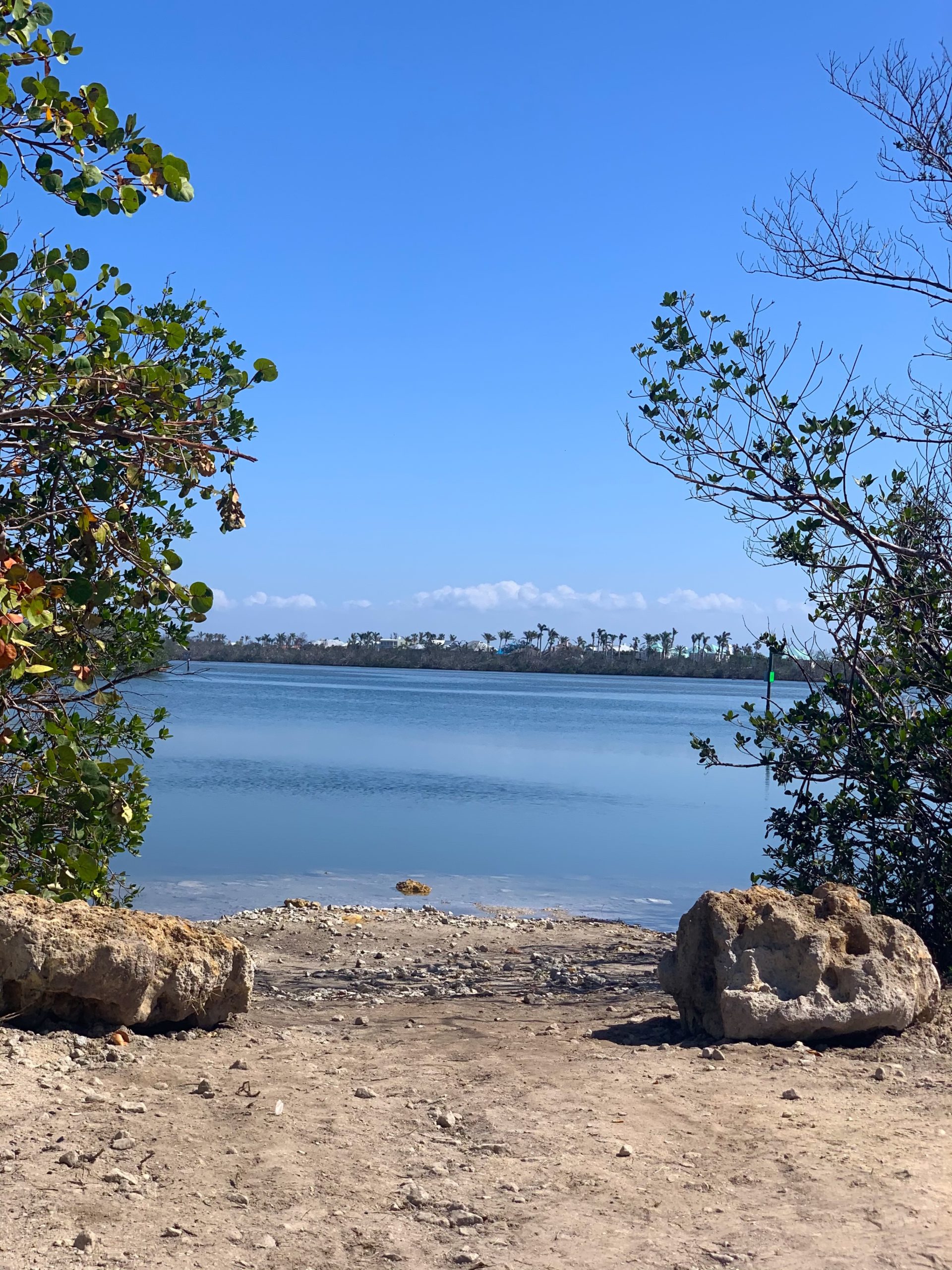 Remember this view? It's back! Boca Beacon