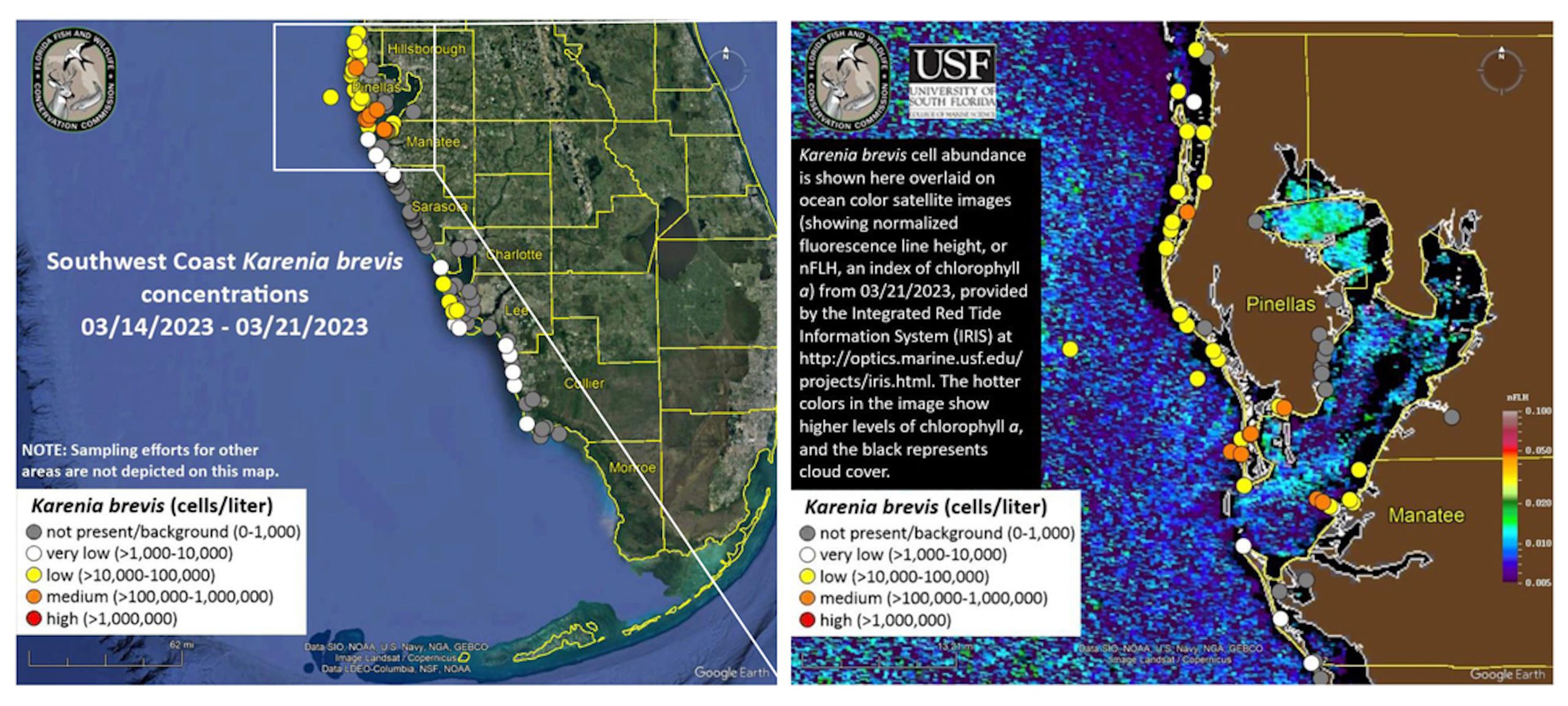 weekly-red-tide-report-boca-beacon
