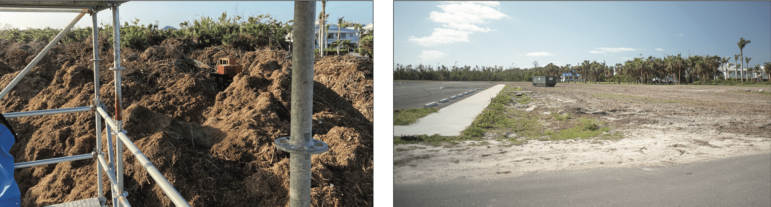 The Dog Park had a ‘ruff’ beginning, but it’s back on track! Boca Beacon