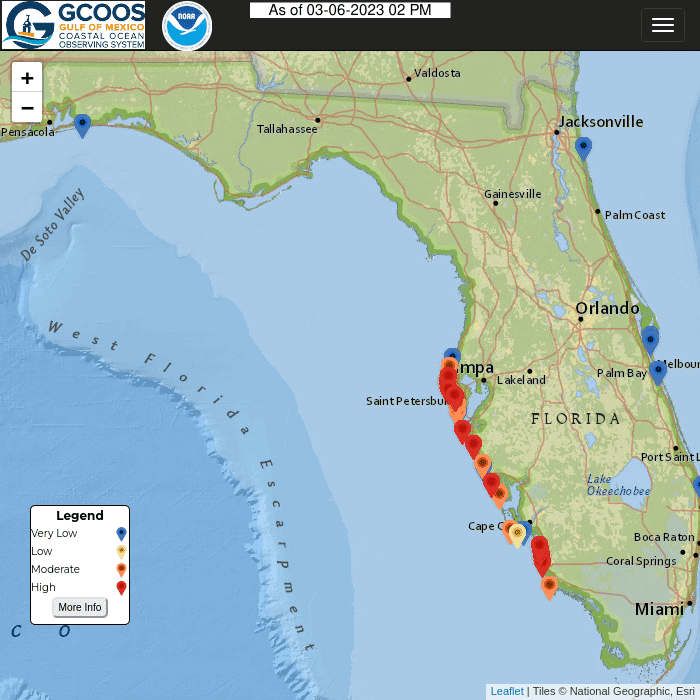 Red tide report | Boca Beacon