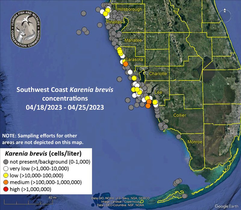 Your Weekly Red Tide Report | Boca Beacon